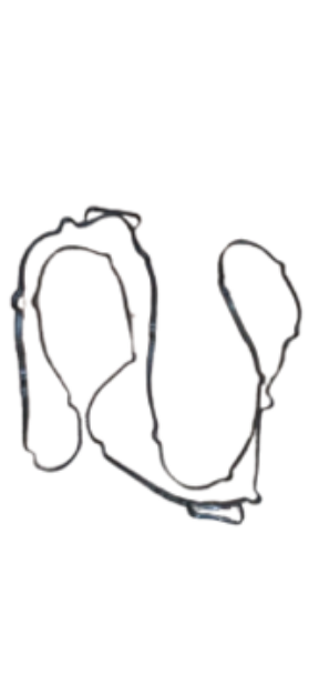 تصویر  واشر کارتل کشنده دیما HT-490  