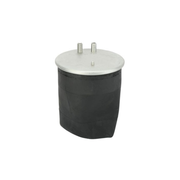 تصویر  کیسه باد 4912  پرمیوم کشنده رنو   